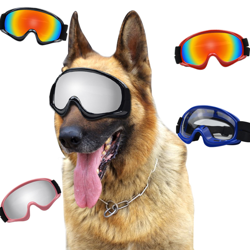 Snow Goggle Uv - Produkty dla zwierząt: Okulary dla psów,