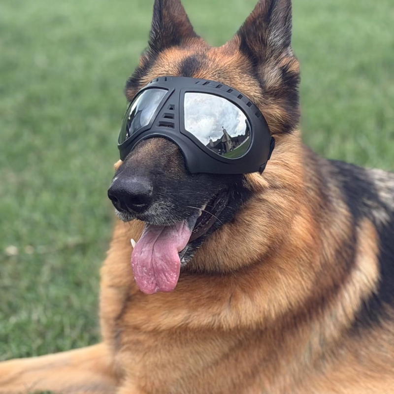 Okulary dla psów średnich i du – Snow Goggle Uv recenzja i cena