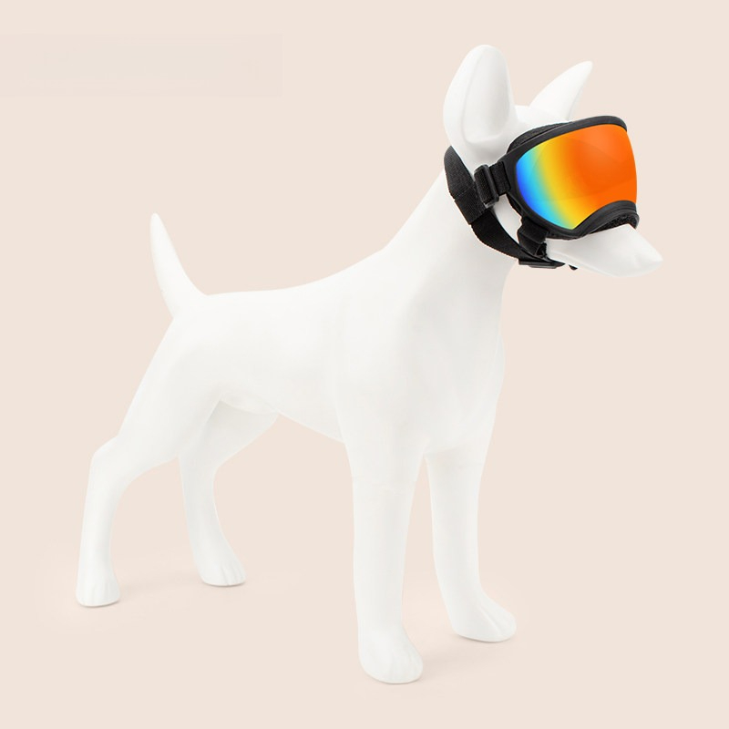 Okulary dla psów do jazdy na n – Snow Goggle Uv recenzja i cena