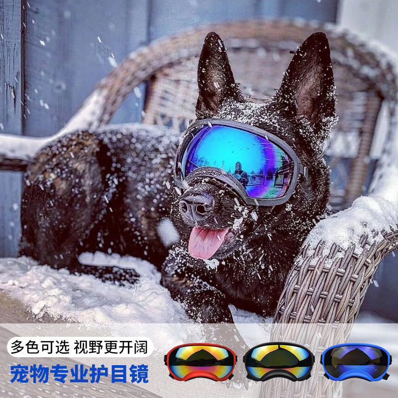 Okulary dla psów do jazdy na n – Snow Goggle Uv recenzja i cena